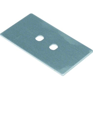 tehalit.GB-EG Płytka montażowa GTVD2/300 2xLWL 9,7x26 aluminium GTVDM202 Hager