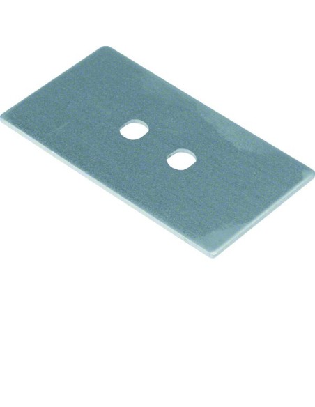 tehalit.GB-EG Płytka montażowa GTVD2/300 2xLWL 9,7x26 aluminium GTVDM202 Hager