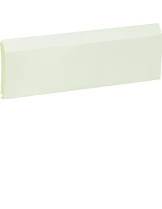 IC2 Drzwi pełne 10M, VD VZ916N Hager