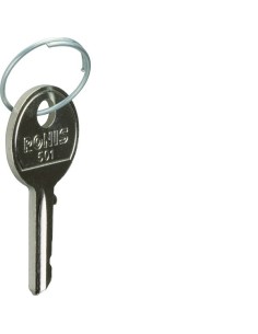 Klucze zapasowe do łączników kluczykowych SK600/SK606 SK001 Hager