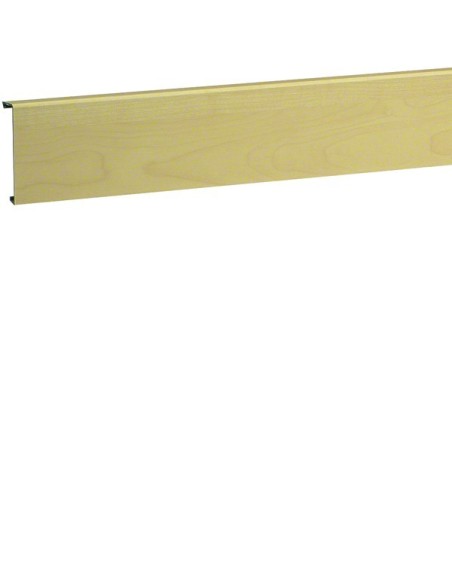 tehalit.SL Pokrywa 20x80 klon SL200802D3 Hager