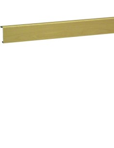 tehalit.SL Pokrywa 20x55, klon SL200552D3 Hager 2