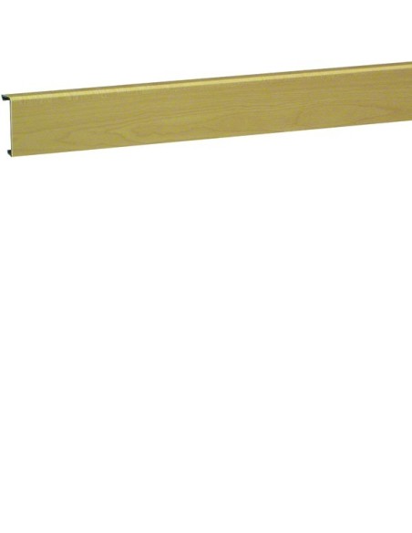 tehalit.SL Pokrywa 20x55, klon SL200552D3 Hager