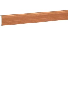 tehalit.SL Pokrywa 20x55, buk SL200552D2 Hager 2