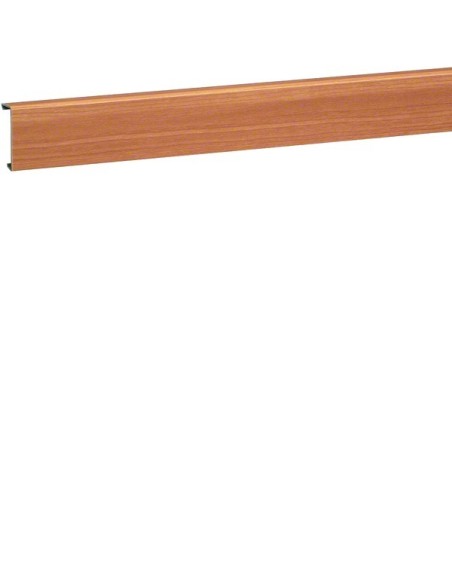 tehalit.SL Pokrywa 20x55, buk SL200552D2 Hager