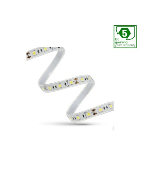 PASEK LED 48W 5050 60LED CW 5 lat 1m (rolka 5m) -bez osłony 4300lm biała zimna