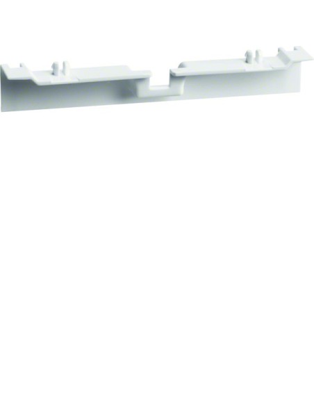 tehalit.SL Maskownica nośnika 20x55 biały SL20055A9010 Hager