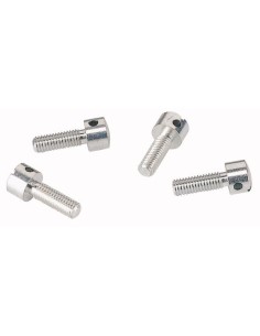 Śruba do plombowanie BPZ-FP BPZ-S 120765 2