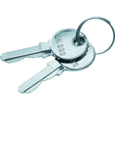 univers Klucz zapasowy do zamków FZ531N+FZ533N 1333 IP44/IP54 FZ539 Hager 2