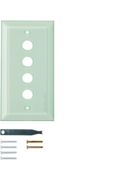 Berker TS Szklana płytka dekoracyjna 4-kr ze ściętymi brzegami, szkło bezbarwne 1341 Berker Hager