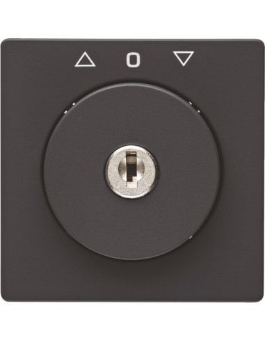 Q.x Płytka czołowa z kluczem do łącznika żaluzjowego na klucz antracyt, aksamit 10836086 Berker Hager