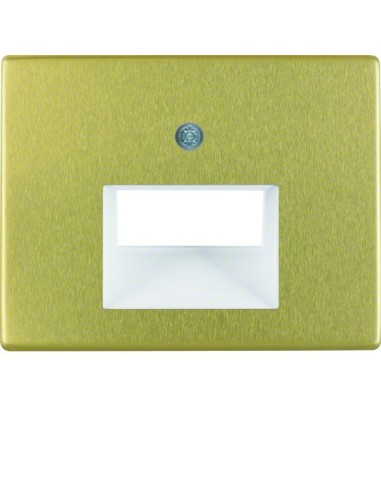 Arsys Płytka czołowa do gniazda przyłączeniowego UAE 2-krotnego, złoty 14100002 Berker Hager