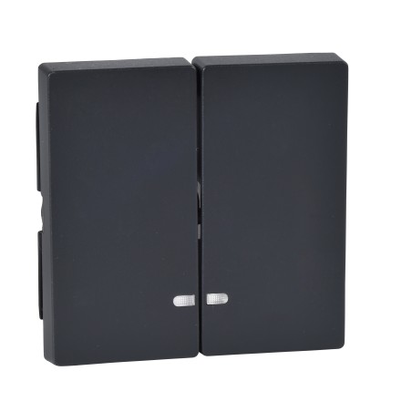 Merten, Klawisz System M podwójny z okienkiem sygnalizacyjnym antracytowy Merten MTN3420-0414 Schneider