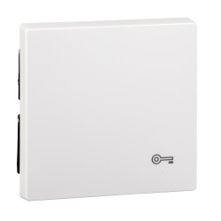 Merten, Klawisz System M pojedynczy z oznaczeniem 'klucz' biały active Merten MTN3303-0325 Schneider