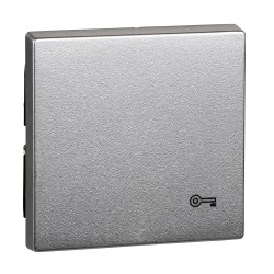 Merten, Klawisz System M pojedynczy z oznaczeniem 'klucz' aluminiowy Merten MTN3303-0460 Schneider