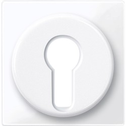 Merten, Płytka centralna System M łącznika na klucz DIN biały active Merten MTN319525 Schneider