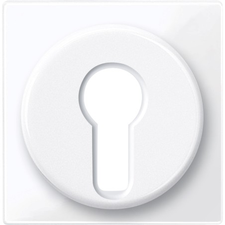 Merten, Płytka centralna System M łącznika na klucz DIN biały active Merten MTN319525 Schneider