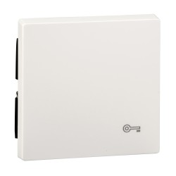 Merten, Klawisz System M pojedynczy z oznaczeniem 'klucz' biały polarny Merten MTN3303-0319 Schneider