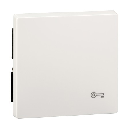 Merten, Klawisz System M pojedynczy z oznaczeniem 'klucz' biały polarny Merten MTN3303-0319 Schneider