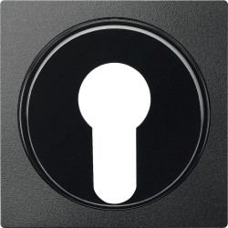 Merten, Płytka centralna System M łącznika na klucz dwupołożeniowy antracytowy Merten MTN318114 Schneider