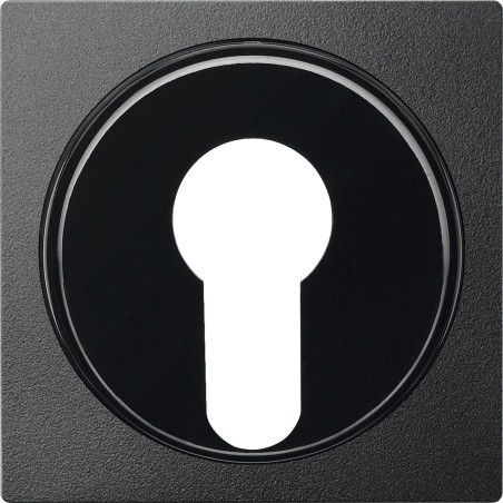 Merten, Płytka centralna System M łącznika na klucz dwupołożeniowy antracytowy Merten MTN318114 Schneider