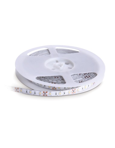 Taśma LED TRAMO 300 diod 2835 IP65 barwa ZIMNOBIAŁA 5m PREMIUM