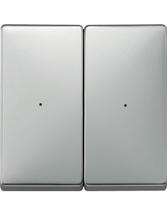 Merten System D Przycisk radiowy podwójny Connect stal szlachetna MTN507246