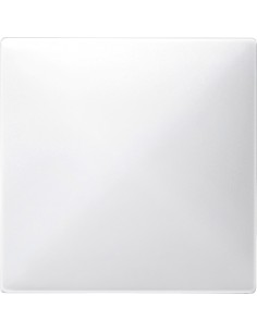 Merten System D Płytka sensorowa z odbiornikiem Connect biały polarny MTN504619