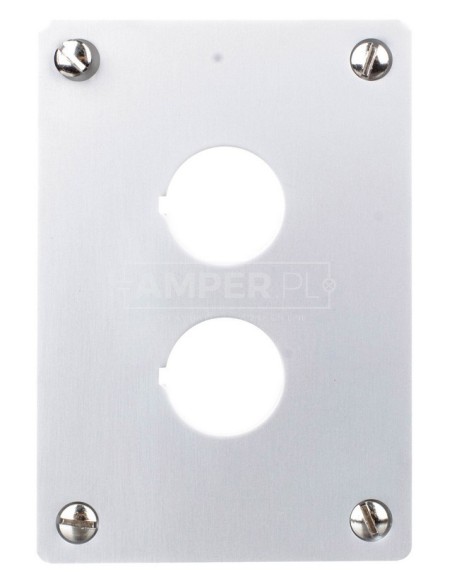 Płyta czołowa do montażu podtynkowego 2-otwory 22mm M22-E2 216543