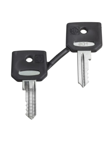 Zestaw 2 kluczy 8D1 ZBD8D1