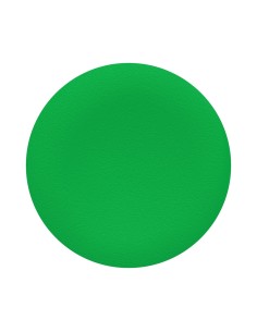 Wkładka ziel. , do okrągłych przycisków O 22mm ZBA3