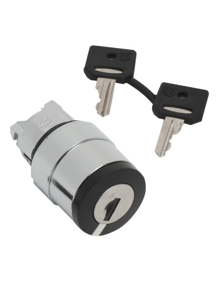 Główka przełącznika piórk., O 22, 2 poz., stabilny, Ronis 421E ZB4BG412