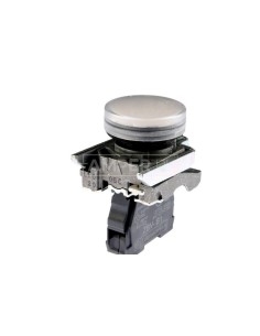 Lampka sygnalizacyjna 22mm biała 24V AC/DC LED XB4BVB1