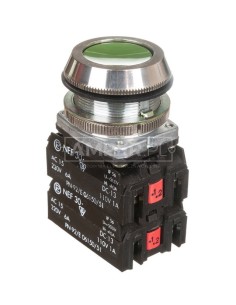 Przycisk sterowniczy 30mm zielony 2Z 2R z samopowrotem W0-NEF30-K 2X2Y Z