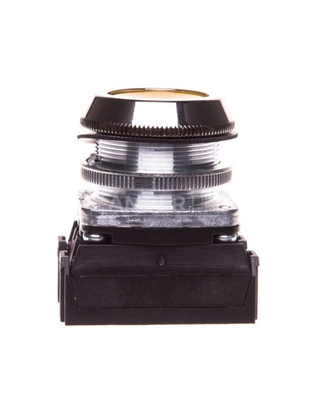 Przycisk sterowniczy 30mm żółty 2Z z samopowrotem W0-NEF30-K 2X G