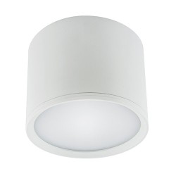 Oprawa ROLEN LED 10W 840lm IDEUS STRUHM 03109 - hurtownia elektryczna Amper.pl