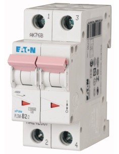 Wyłącznik nadprądowy 2P D 2A 10kA AC PLSM-D2/2-MW 242416