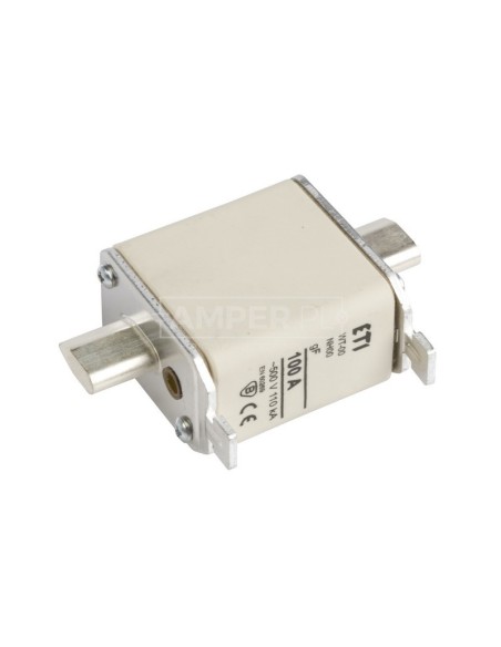 Wkładka bezpiecznikowa NH00 100A gF 500V WT-00 004114339