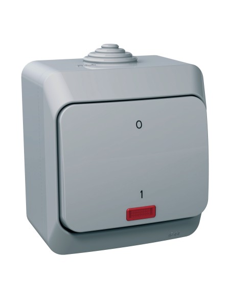 Cedar Plus - Łącznik 2-biegunowy z podświetleniem IP44 szary WDE000621