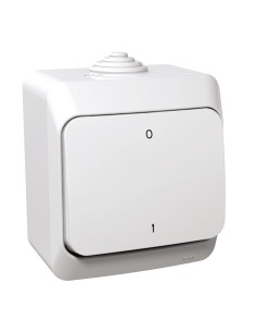 Cedar Plus - Łącznik 2-biegunowy IP44 biały WDE000520 2