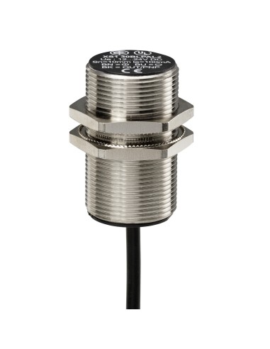 Czujnik indukcyjny XS5 M30, L62mm, mosiądz, Sn10mm, 12..48VDC, przew. 2m XS530BLPAL2