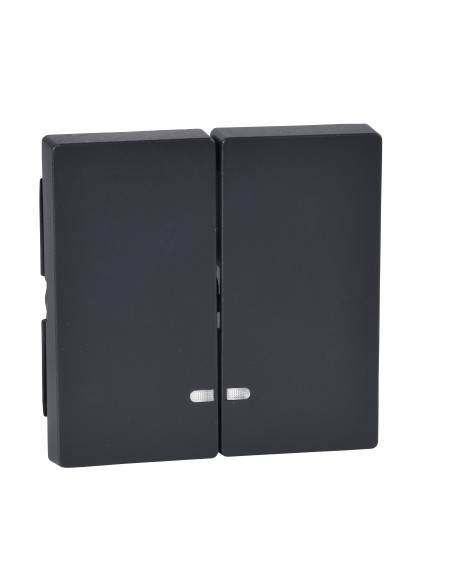 Merten, Klawisz System M podwójny z okienkiem sygnalizacyjnym antracytowy Merten MTN3420-0414 Schneider