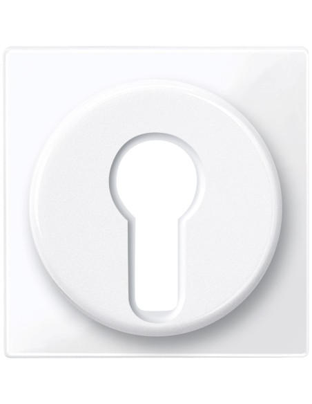 Merten, Płytka centralna System M łącznika na klucz DIN biały active Merten MTN319525 Schneider