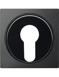 Merten, Płytka centralna System M łącznika na klucz dwupołożeniowy antracytowy Merten MTN318114 Schneider 2