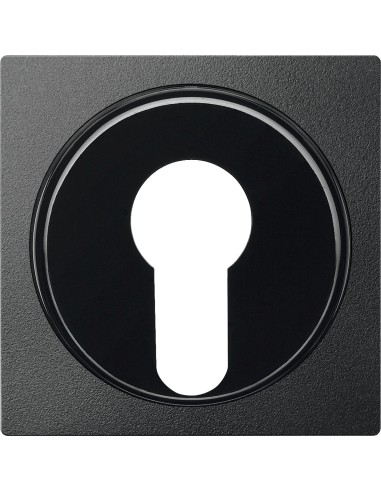 Merten, Płytka centralna System M łącznika na klucz dwupołożeniowy antracytowy Merten MTN318114 Schneider