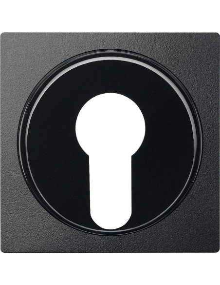 Merten, Płytka centralna System M łącznika na klucz dwupołożeniowy antracytowy Merten MTN318114 Schneider