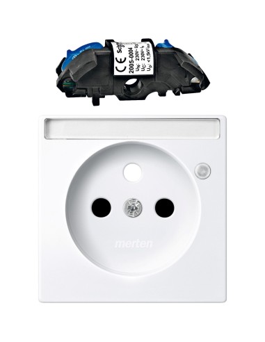Płytka centr. p.opis. i ochr. p/p do gn. wtyk., z uziem., przesł. B.A, P, Sys M Merten MTN2535-0325 Schneider