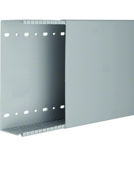 tehalit.BA6 Kanał grzebieniowy 60x200, szary BA66020007030B Hager