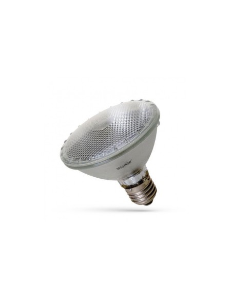 PAR 30 75W/230V 30st FLOOD SPECTRUM 660lm biała ciepła