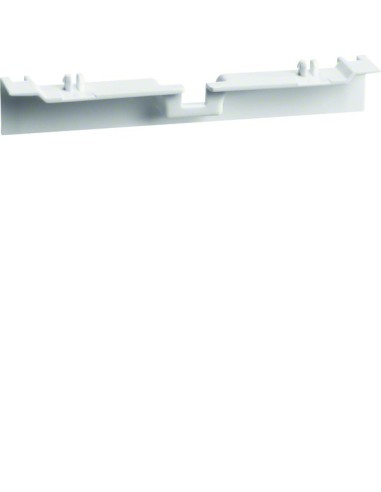 tehalit.SL Maskownica nośnika 20x55 biały SL20055A9010 Hager